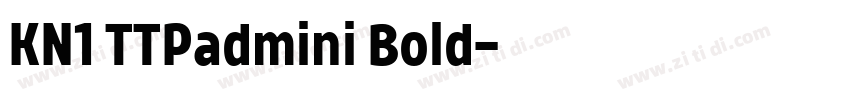 KN1 TTPadmini Bold字体转换